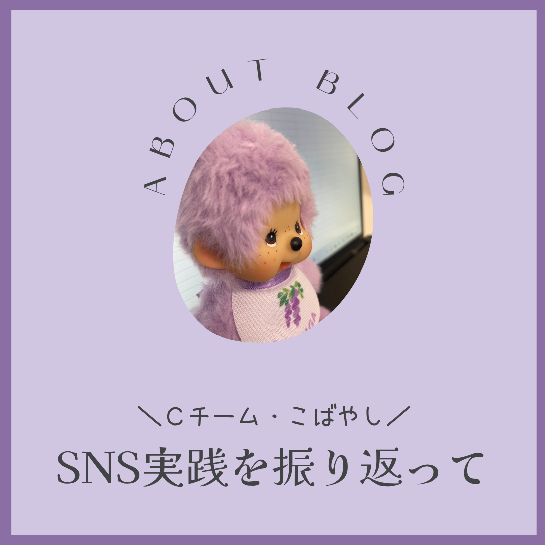 SNS実践を振り返って（Ｃチーム・小林）
