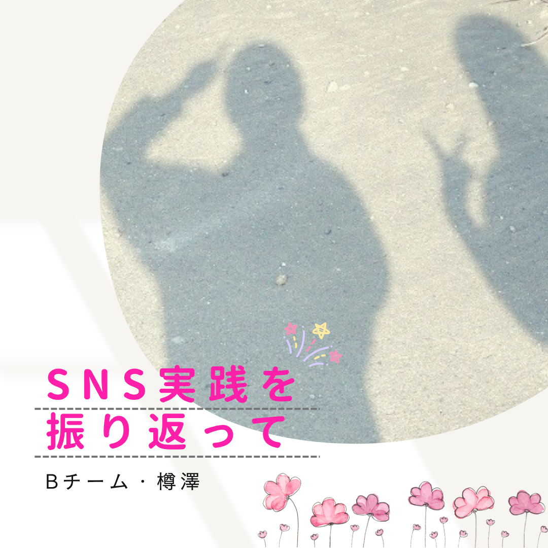 SNS実践を振り返って（Bチーム・樽澤）